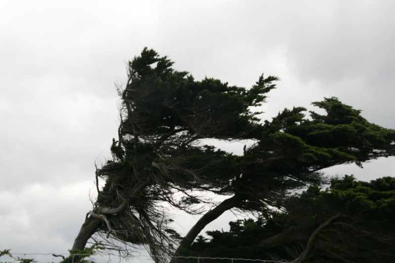 Nieuw-Zeeland 2011 - 1947